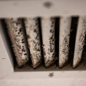 Air Duct Mold Removal Is Essential for a Healthy Home