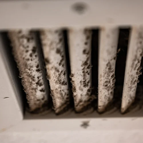 Air Duct Mold Removal Is Essential for a Healthy Home